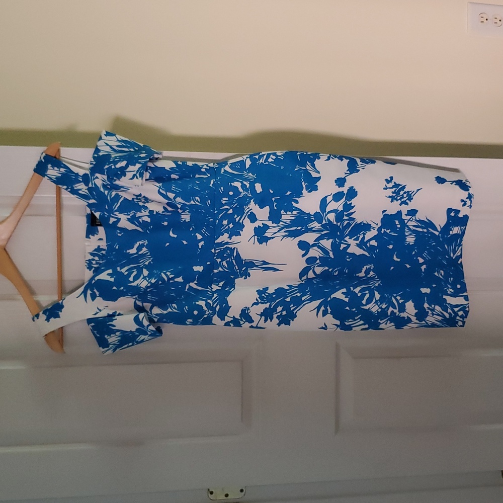NWOT Bigio Blue and White Floral Dress
